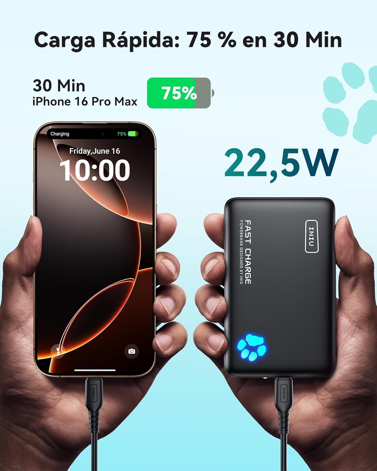 Power Bank INIU